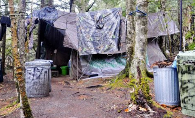 Мужчина больше 20 лет жил в лесу и не разговаривал ни с кем из людей, пока его искала полиция Мужчина больше 20 лет жил в лесу и не разговаривал ни с кем из людей, пока его искала полиция Культура