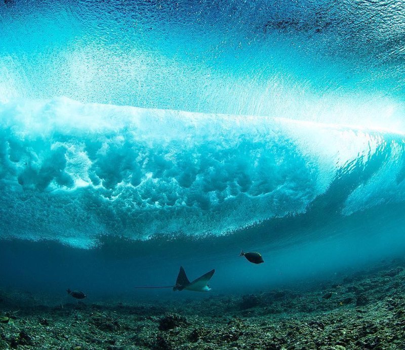Удивительные фотографии, которые были сняты под водой