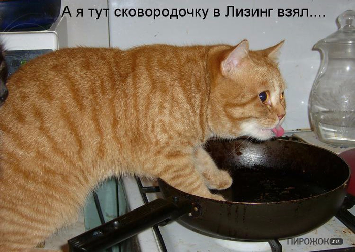 nu-i-gde-ona-sprosil-on-uzhe-tut-seks-porno