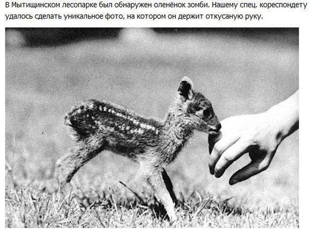 Простые шутки и картинки