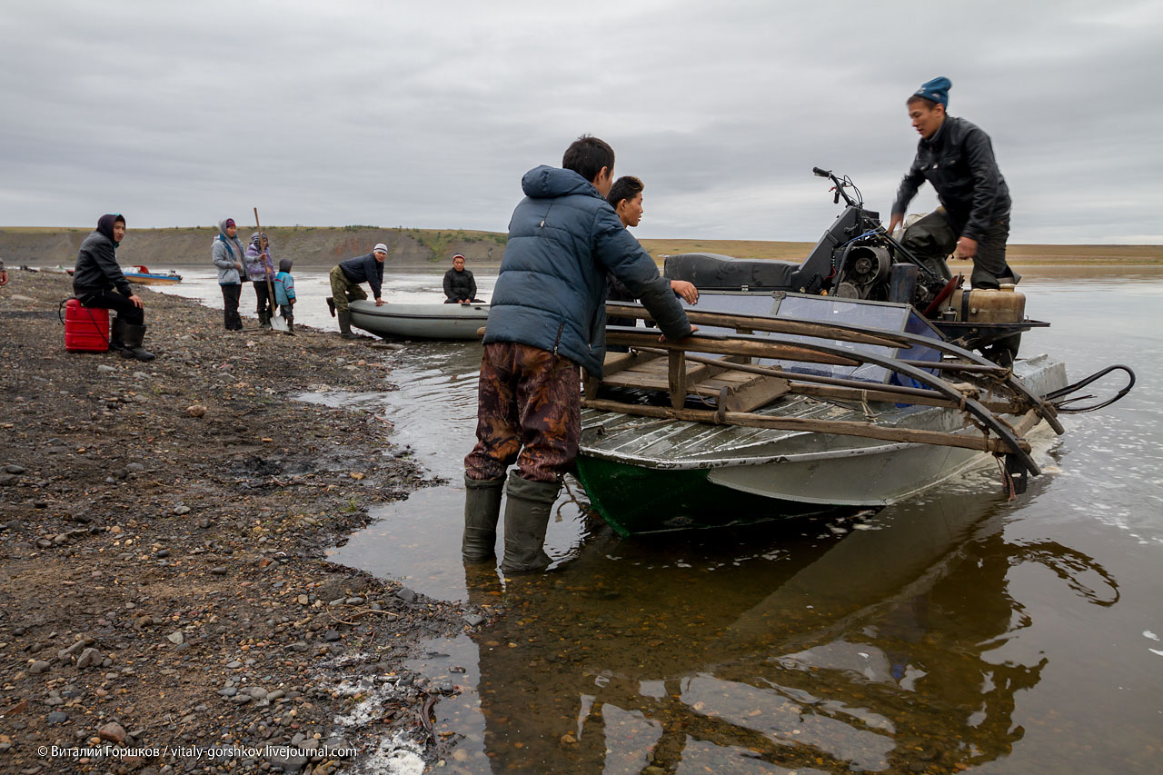 Новый Попигай :  поселок охотников на мамонта Война и мир
