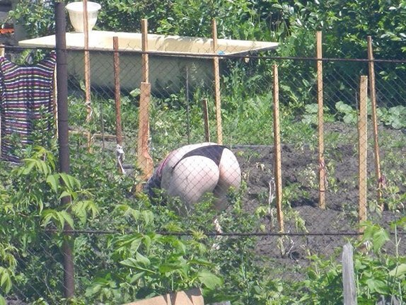 Дачный юмор 