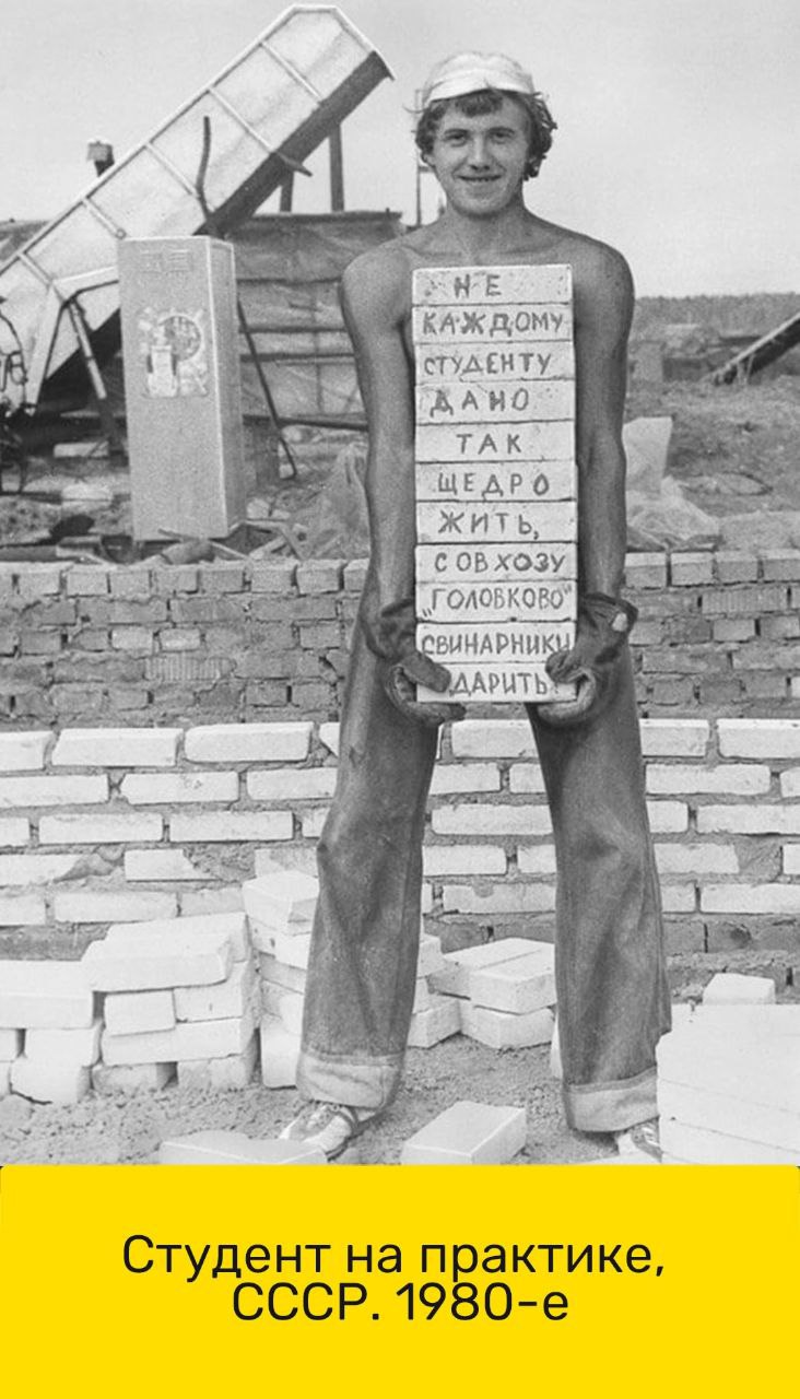 Клевые картинки с юмором Клевые картинки с юмором