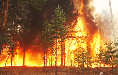 Военные помогли потушить крупный природный пожар под Тюменью