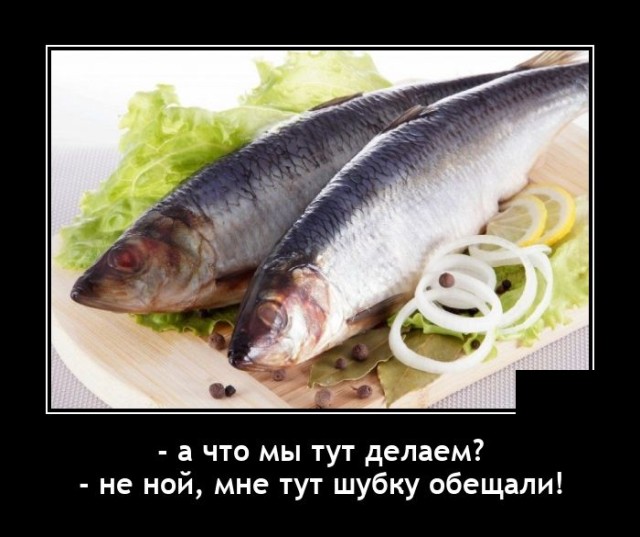 Новые демотиваторы Новые демотиваторы демотиваторы