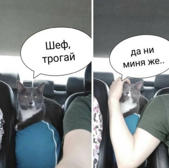 Именно чайники развивают самую кипучую деятельность  