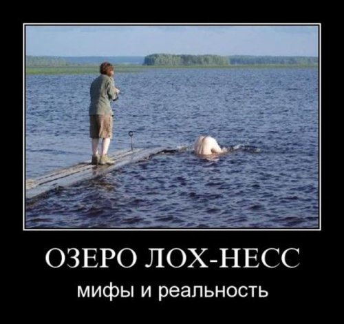 Веселые картинки для зарядки позитивчиком с утра Веселые картинки для зарядки позитивчиком с утра