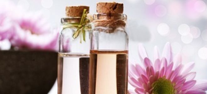 ������������ ������� �����