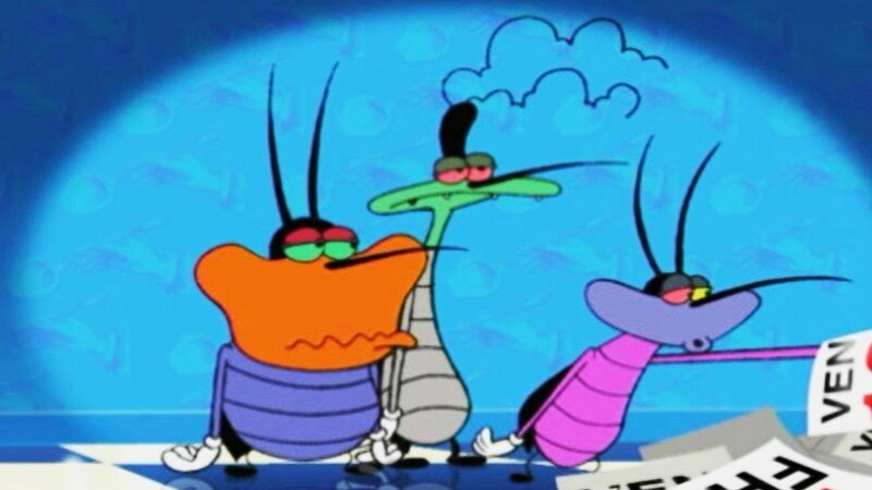 10 невероятных фактов о насекомых 10 невероятных фактов о насекомых животные,природа