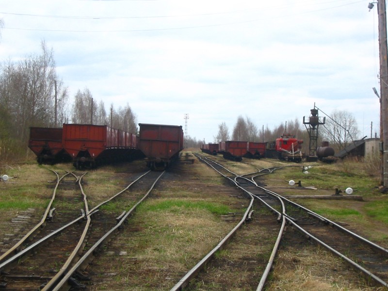 Узкоколейные железные дороги поездка,туризм