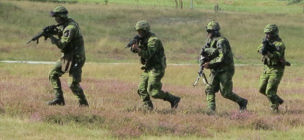 Шведский премьер приказал перебросить военных и танки на остров рядом с Россией 