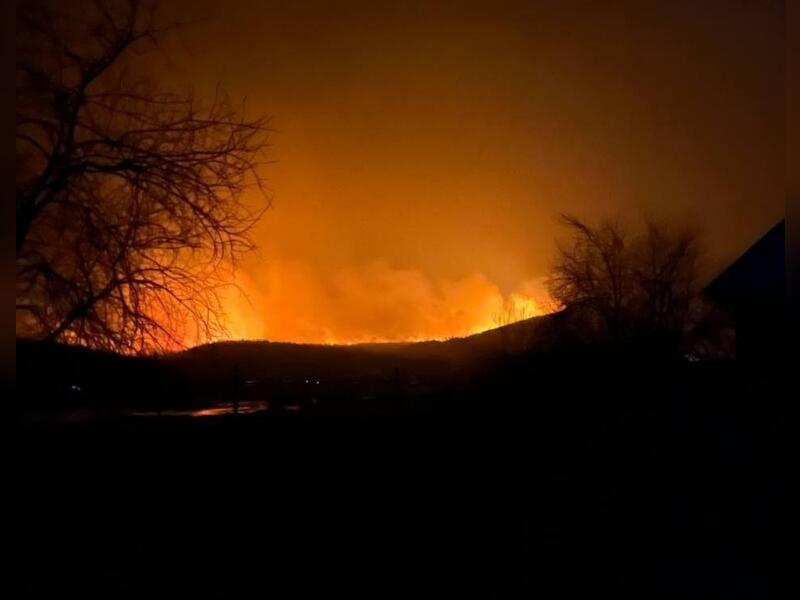 Лесные пожары 2025 года уничтожили 4,3 млн гектаров