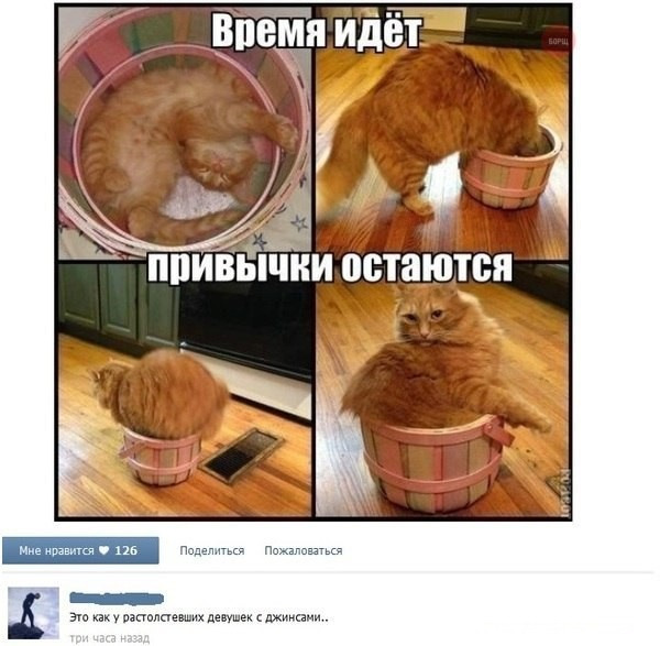 «»