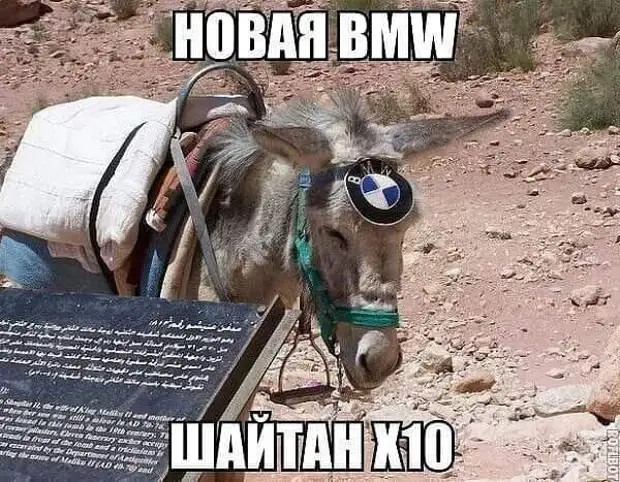 Взрослеть – самая худшая вещь, которую мне приходилось совершать Взрослеть – самая худшая вещь, которую мне приходилось совершать Дальше, может, говорит, собака, означать, рублей, подруге, рулем, мужчина, берутся, женщина, блондинка, сумку, только, сигнал, Какая, зависит, сидит, особа, разница