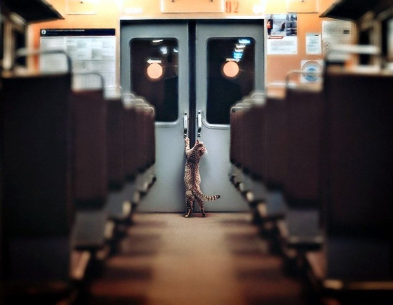 Скукота. ПОЕЗДАтая подборка Скукота. ПОЕЗДАтая подборка поездка