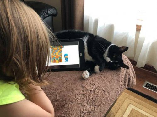 Ура, я это починил! 