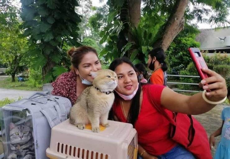 Подборка прикольных картинок Подборка прикольных картинок приколы,смешные картинки,юмор