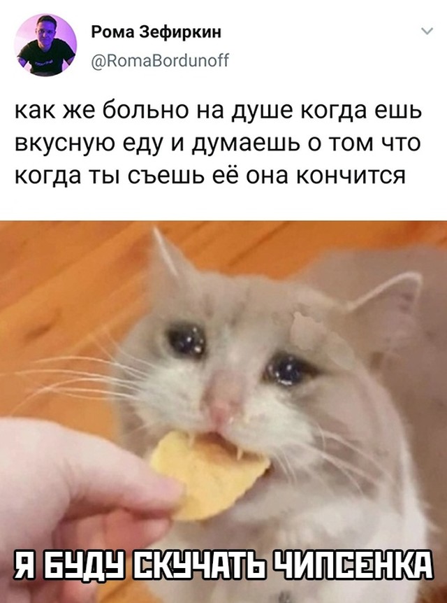 Подборка картинок. Вечерний выпуск Подборка картинок. Вечерний выпуск приколы,смешные картинки,юмор