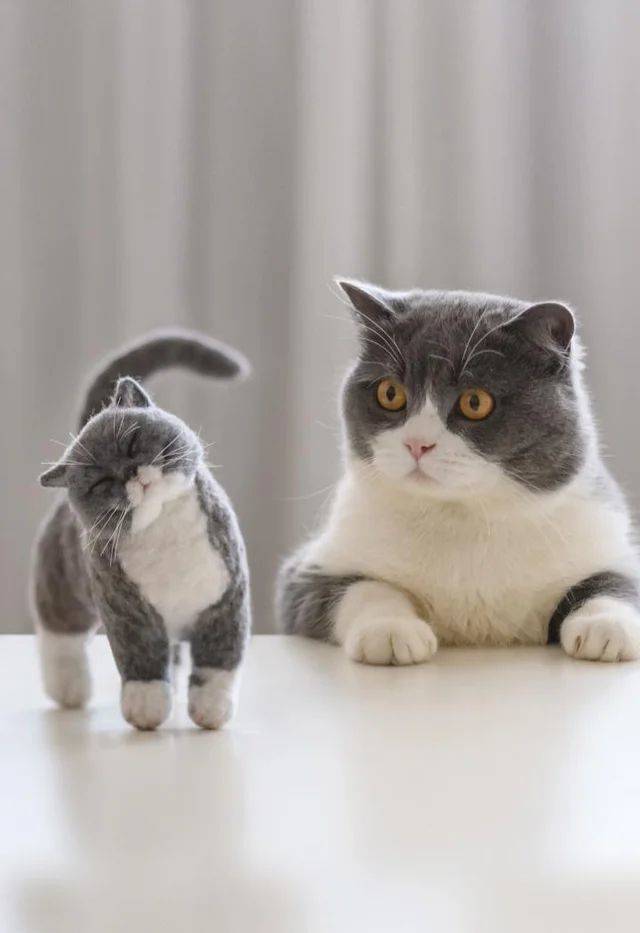 Подборка картинок. Вечерний выпуск Подборка картинок. Вечерний выпуск приколы,смешные картинки,юмор