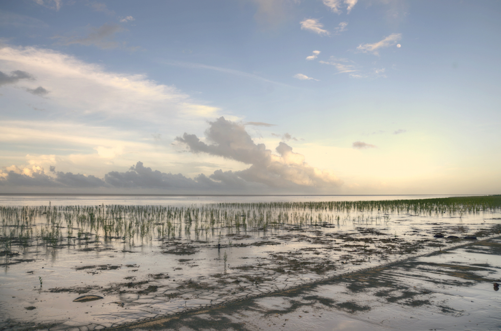 Нелатинская Америка: загадочная Гайана в 10 фотокарточках Нелатинская Америка: загадочная Гайана в 10 фотокарточках гайана
