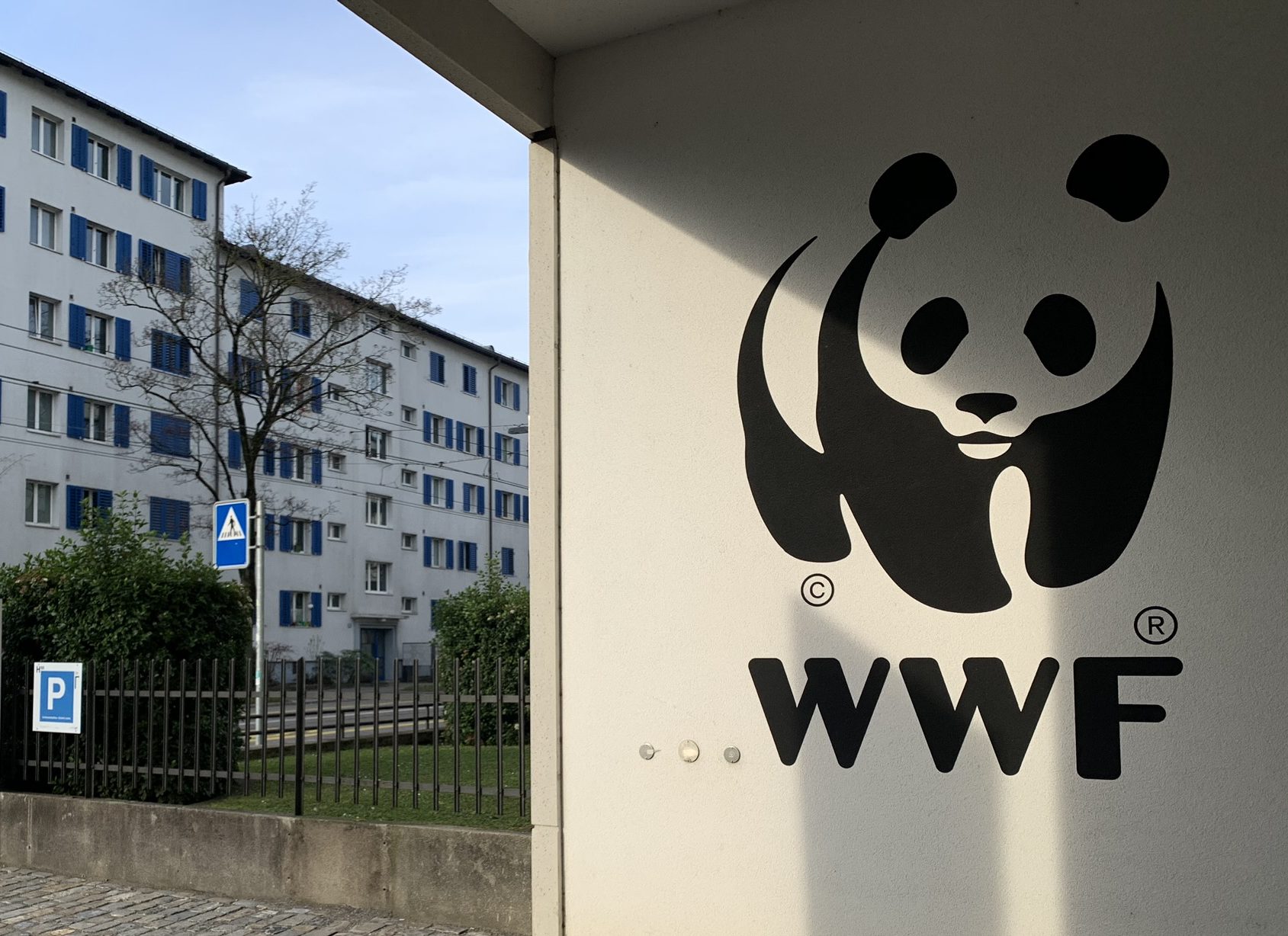 Wwf всемирный фонд дикой природы презентация