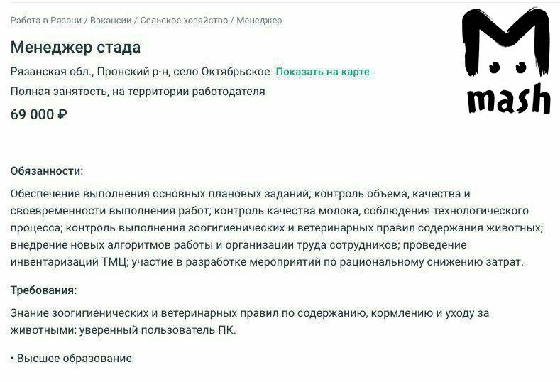 В Рязанской области на вакансии доярок и скотоводов ищут "менеджера стада" вакансии