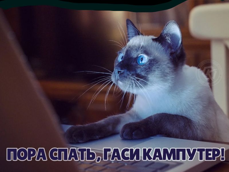 Юмор из сети: лучшая подборка 