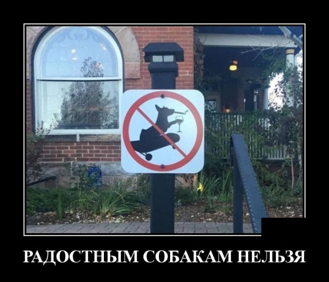 Зачетные и прикольные демотиваторы для пятничного настроения и веселых улыбок Зачетные и прикольные демотиваторы для пятничного настроения и веселых улыбок демотиваторы свежие,приколы,смешные демотиваторы,юмор