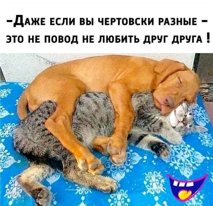 И хорошо, и приятно: ловите свежую порцию юмора И хорошо, и приятно: ловите свежую порцию юмора