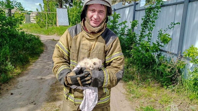Пожарные спасли двух котят из горящего дома в российском городе