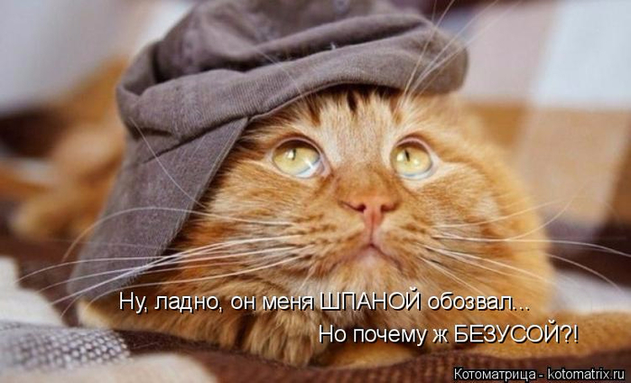 19 (700x424, 285Kb)