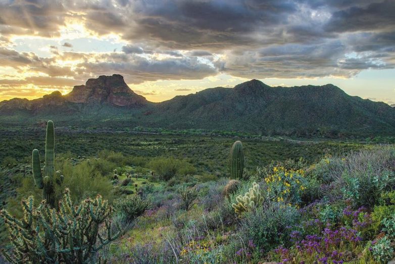 Сочные тревел-снимки Брукса Крэнделла Сочные тревел-снимки Брукса Крэнделла