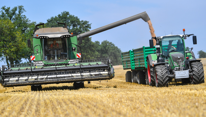 Эпидемия непереносимости глютена. Может ли она коснуться каждого? россия