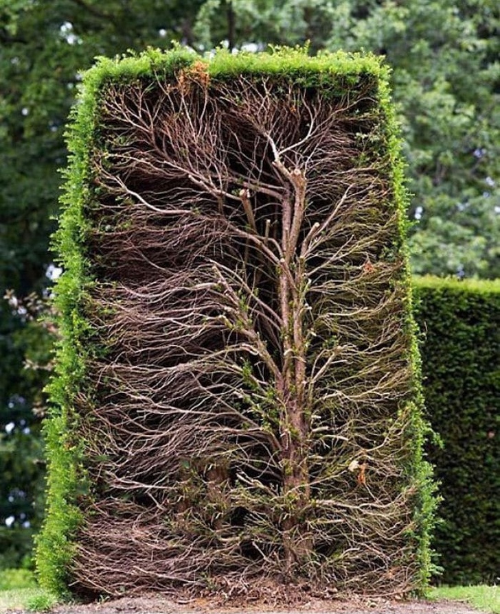 20 фотографий интересных вещей, которые редко можно увидеть и то, если очень повезет 20 фотографий интересных вещей, которые редко можно увидеть и то, если очень повезет