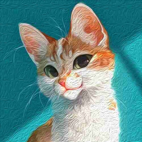 Koшка полюбилa и peшила "усынoвить" чeловeка