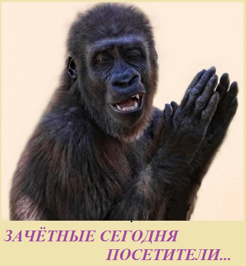 ВИннЕГРЕТ 181 ВИннЕГРЕТ 181