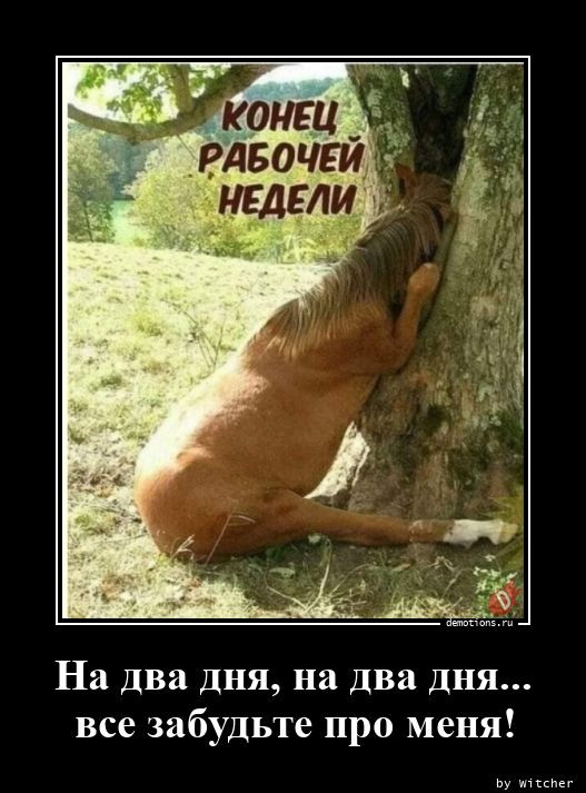 Прикольные демотиваторы для всех: «Пятница» 