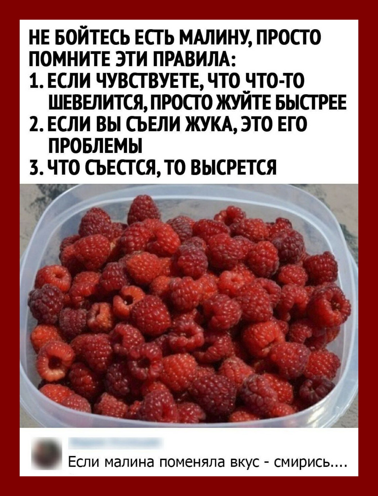 Веселые истории о нас . Лето 