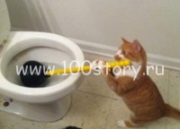 Важней всего порядок в доме