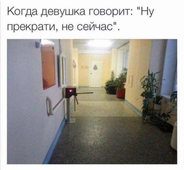 Приколы и мемы про современных девушек  позитив,смешные картинки,юмор