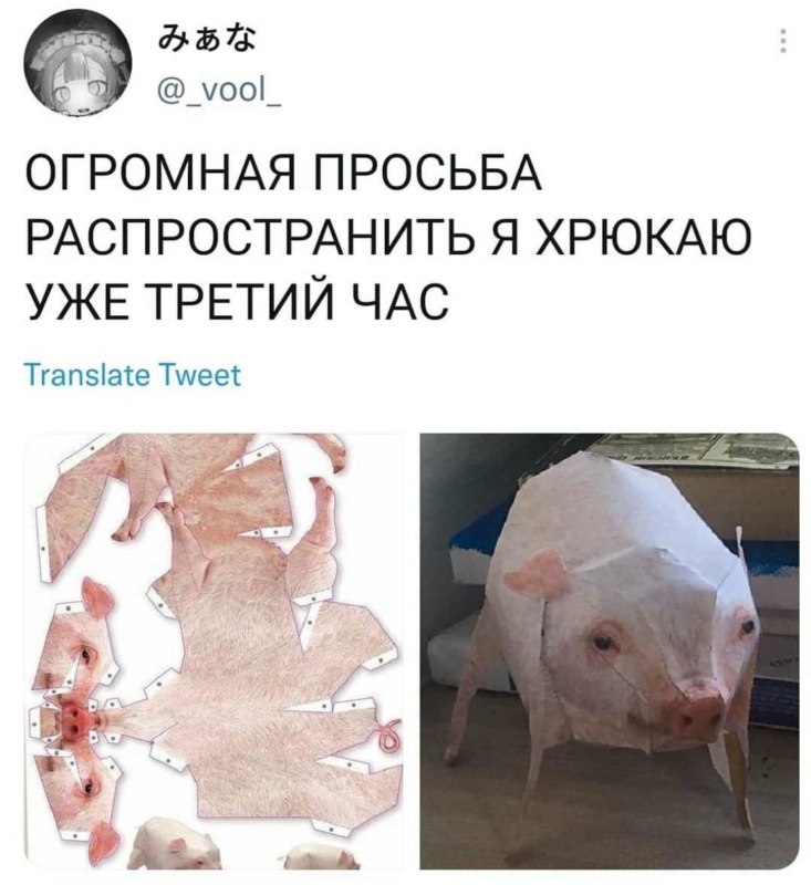 Бумажная свинка