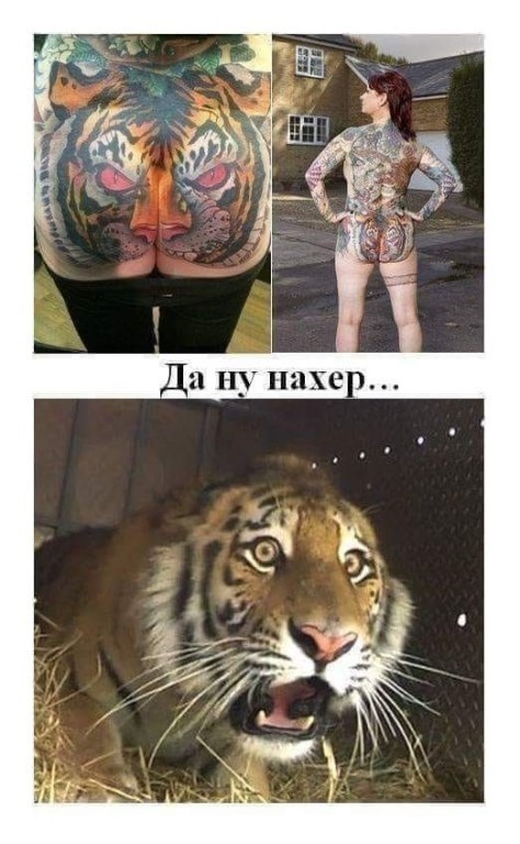 Веселые картинки для зарядки позитивчиком с утра Веселые картинки для зарядки позитивчиком с утра