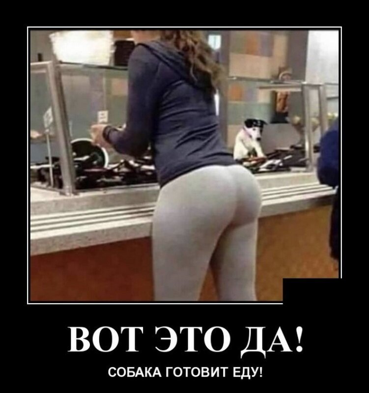 Подборка интересных и веселых картинок №51 Подборка интересных и веселых картинок №51 отдых