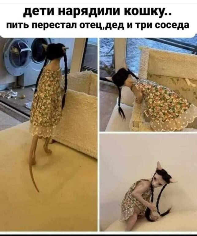 Веселые картинки для зарядки позитивчиком с утра