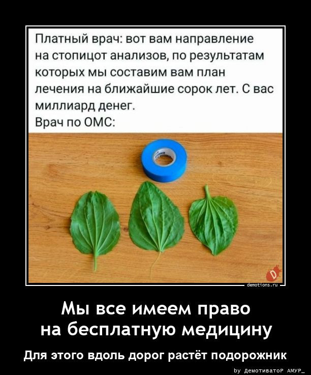 Демотиваторы дня: «Детское заблуждение — …» 