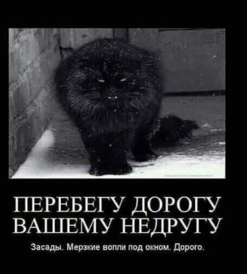 Подборка легкого юмора для заряда позитивом Подборка легкого юмора для заряда позитивом