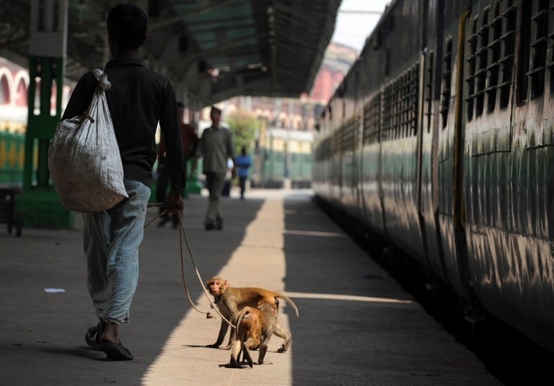 Скукота. ПОЕЗДАтая подборка Скукота. ПОЕЗДАтая подборка поездка