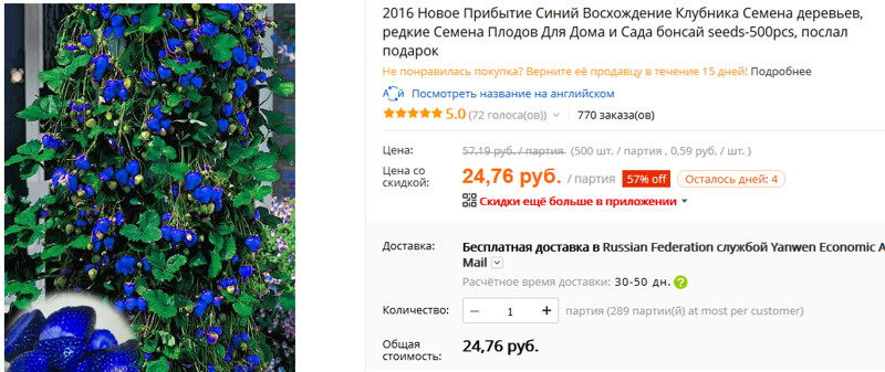 Земляничное дерево с синими плодами. алиэкспресс, обман, семена, фотошоп