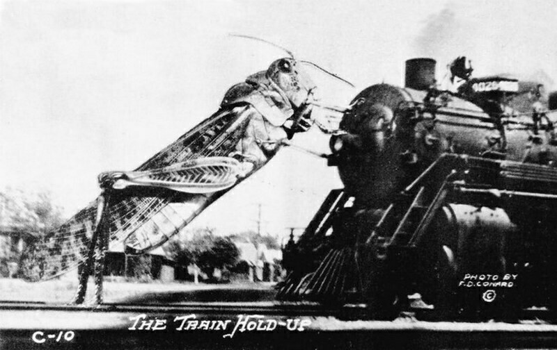Карикатура XIX века, что саранча способна остановить поезд. Фото: hcn.org