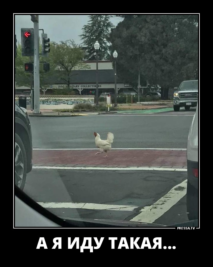 Забавные веселые демотиваторы обо всем на свете Забавные веселые демотиваторы обо всем на свете